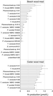 Aerobic H2 production related to formate metabolism in white-rot fungi